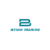 Profile picture of BTWO Marine